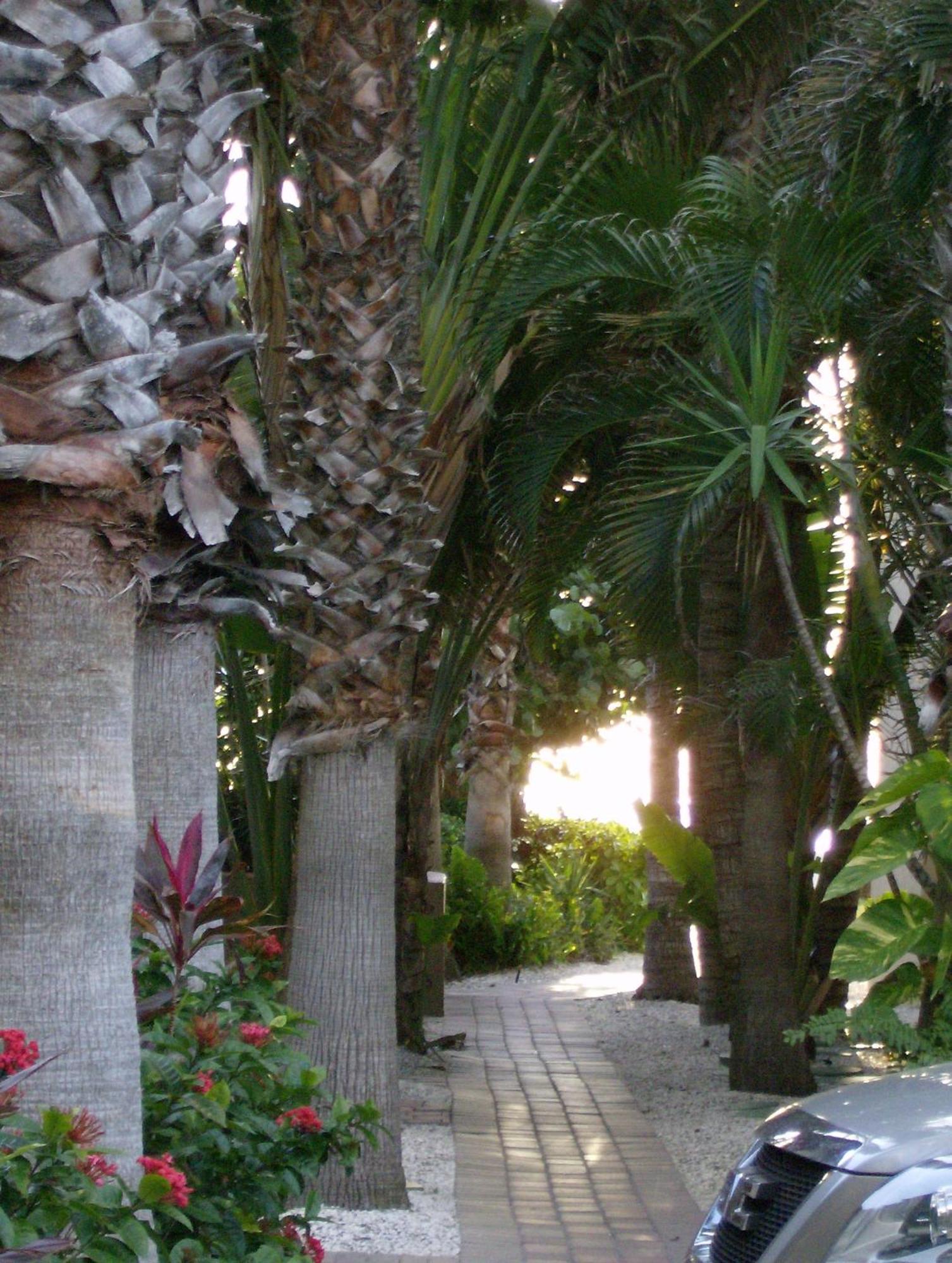Turtle Crawl Inn - Longboat Key Bagian luar foto